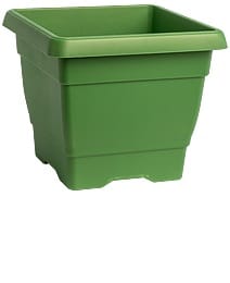 מיכל מרובע גלבוע 35/35 - ירוק יער