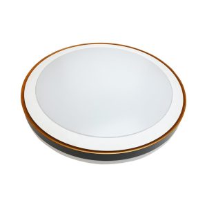 צמוד תקרה דקורטיבי עגול ROXY 36W, אור קר