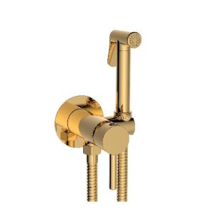 אינטרפוץ ומערכת שטיפה יוקרתית זהב שגיב