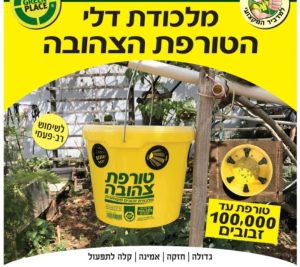 מלכודת דלי צהוב הטורפת הצהובה