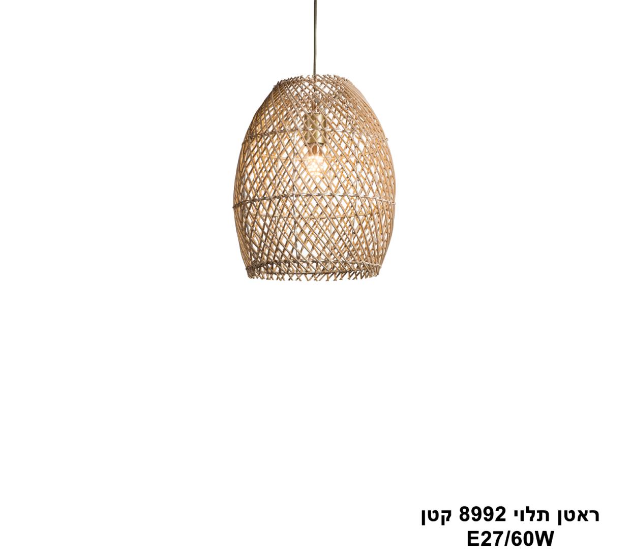 ראטן תלוי 8992 קטן ראטן תלוי 8992 קטן