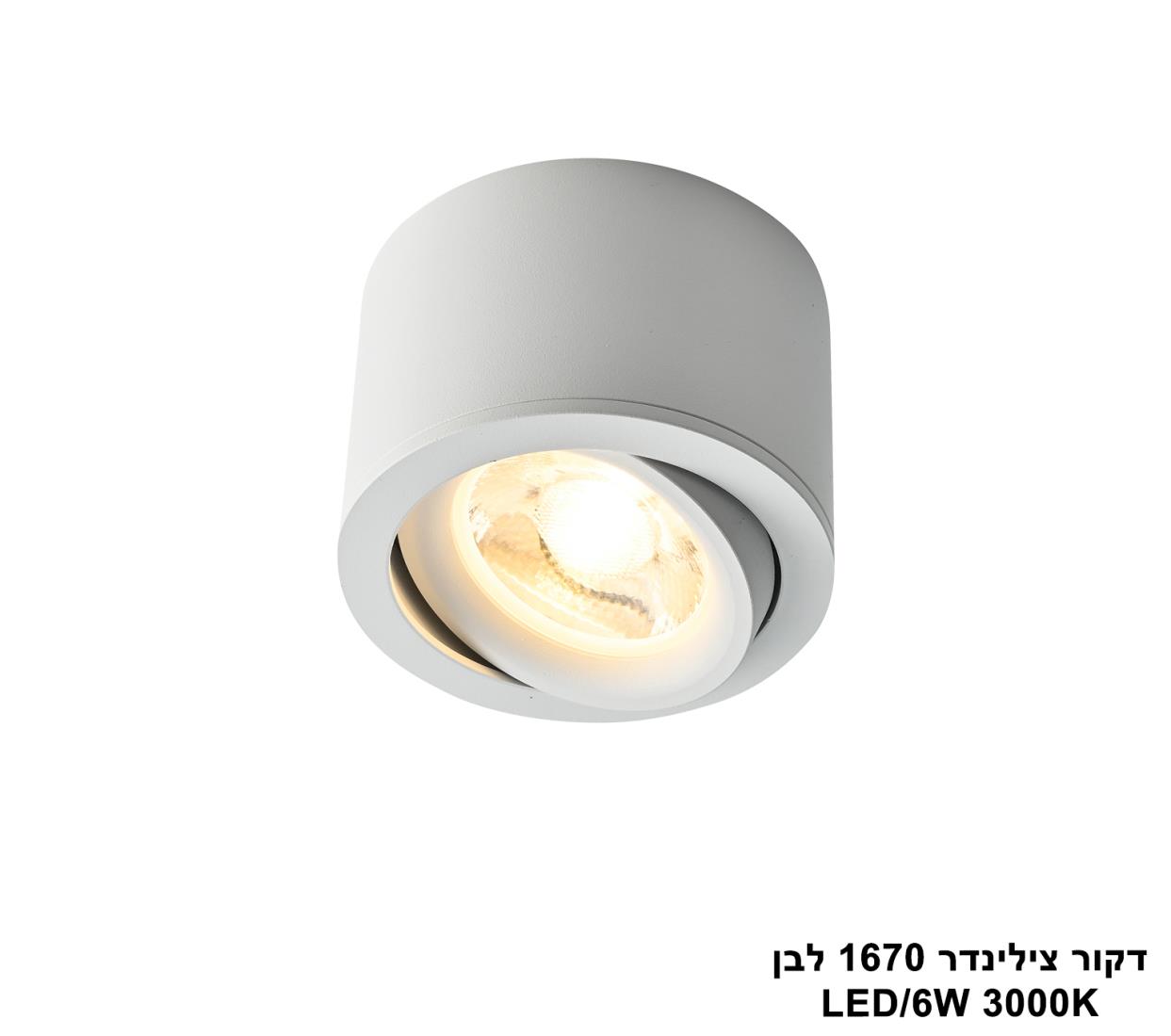 דקור צילינדר 1670 לבן LED דקור צילינדר 1670 לבן LED