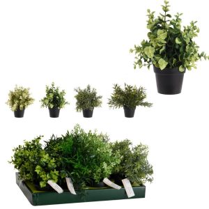 עציץ נוי עלים ירוק 23 ס"מ בית עציץ שחור עציץ נוי עלים ירוק 23 ס"מ בית עציץ שחור