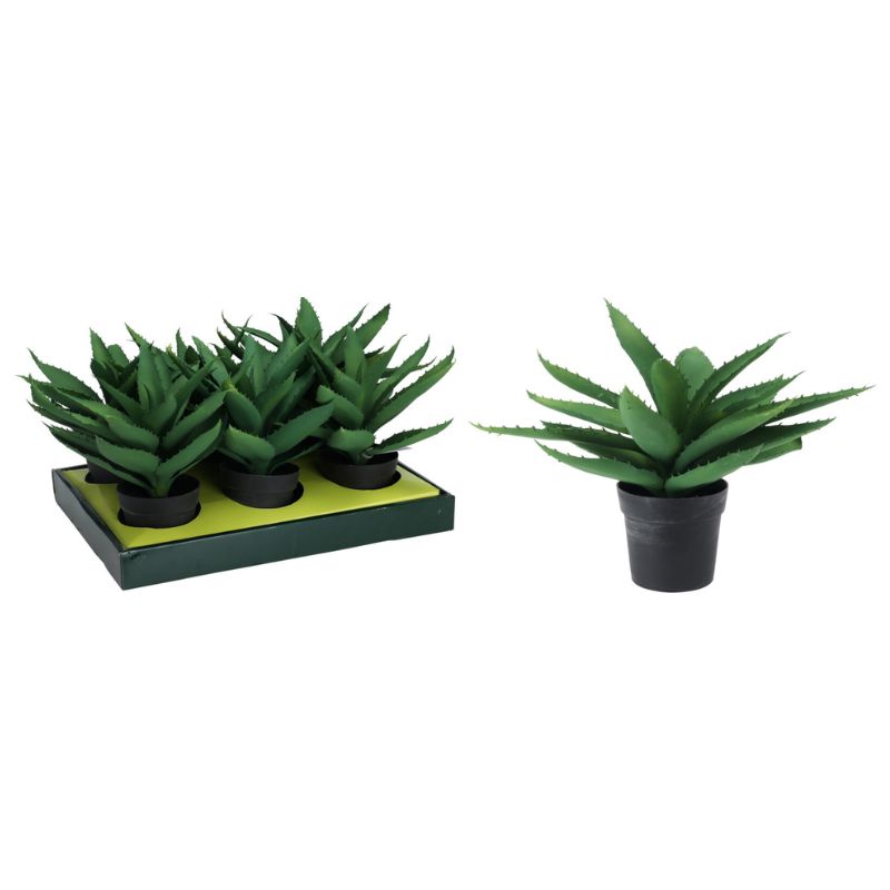 עציץ נוי עלים +בית עציץ שחור 22X22X30 ס"מ עציץ נוי עלים +בית עציץ שחור 22X22X30 ס"מ