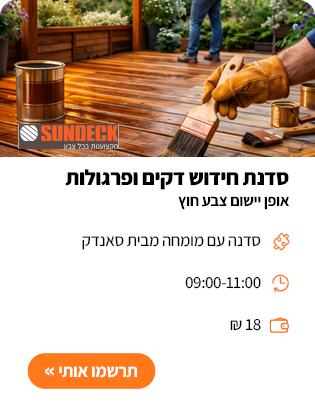 סדנה לאתר יום שישי2