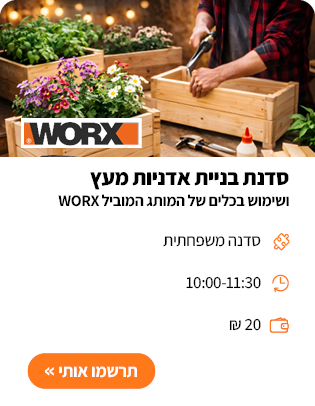 סדנה לאתר יום שישי4