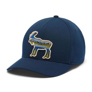 כובע מצחייה יוניסקס Columbia Lost Lager 3D Stretch Snap Back צבע אפור Flint Grey כובע מצחייה יוניסקס Columbia Lost Lager 3D Stretch Snap Back צבע אפור Flint Grey